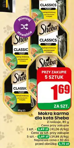 Dino Mokra karma dla kota Sheba oferta
