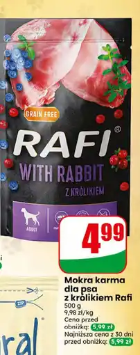 Dino Mokra karma dla psa z królikiem Rafi oferta