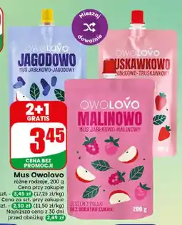 Dino Mus jabłkowo-jagodowy Owolovo Jagodowo oferta