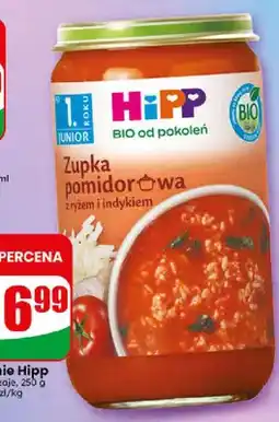 Dino Zupka pomidorowa z ryżem i indykiem Hipp Bio oferta