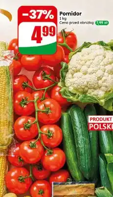 Dino Pomidor oferta