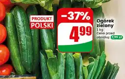 Dino Ogórek zielony oferta