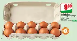 Dino Jaja świeże z wolnego wybiegu 10-pak oferta