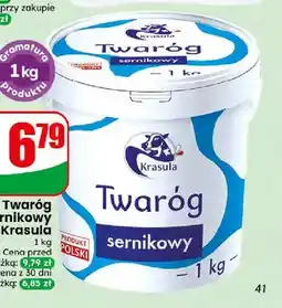 Dino Twaróg sernikowy Krasula oferta