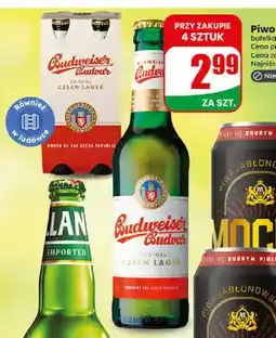 Dino Piwo Budweiser Budvar oferta
