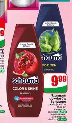 Dino Szampon do włosów Schauma Color & Shine oferta