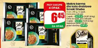 Dino Mokra karma dla kota drobiowe smaki Sheba 4-pak oferta
