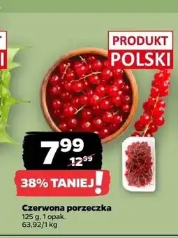 Netto Czerwona porzeczka polska oferta