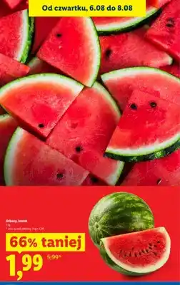 Lidl Arbuz luzem oferta