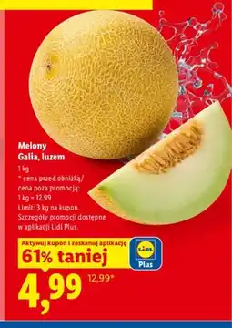 Lidl Melony Galia luzem oferta