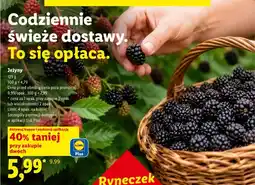 Lidl Jeżyny Ryneczek Lidla oferta