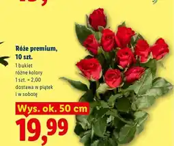 Lidl Róże premium 10-pak oferta