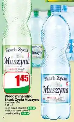 Dino Woda mineralna Skarb Życia Muszyna oferta