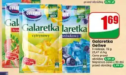 Dino Galaretka Gellwe oferta