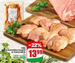 Dino Udo z kurczaka na grill w marynacie oferta