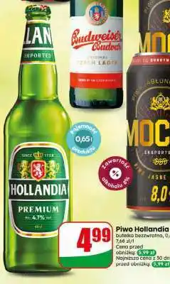 Dino Piwo Hollandia oferta