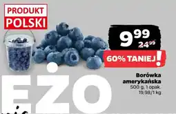 Netto Borówka amerykańska oferta