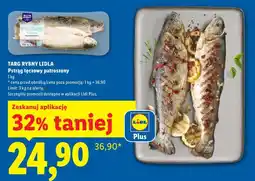 Lidl Pstrąg tęczowy patroszony oferta