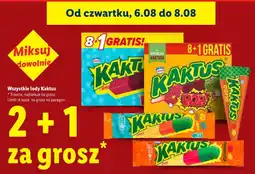 Lidl Lody Kaktus oferta