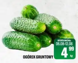 TomiMarkt Ogórek Gruntowy oferta