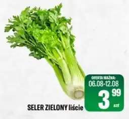 TomiMarkt SELER ZIELONY liście oferta