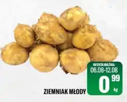 TomiMarkt ZIEMNIAK MŁODY oferta