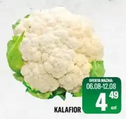 TomiMarkt KALAFIOR oferta