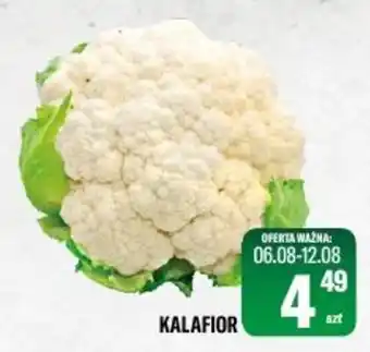 TomiMarkt KALAFIOR oferta
