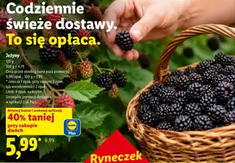 Lidl Jeżyny oferta