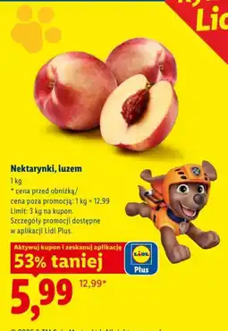 Lidl Nektarynki, luzem oferta