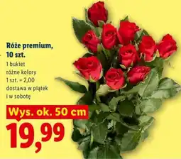 Lidl Róże premium oferta