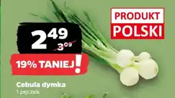 Netto Cebula dymka oferta