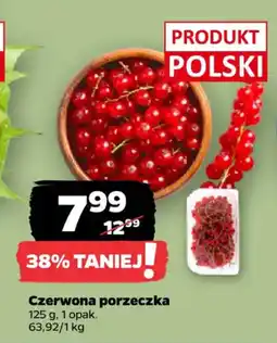 Netto Czerwona porzeczka oferta