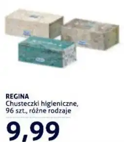 Blue Stop Chusteczki higieniczne Regina oferta