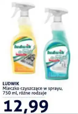 Blue Stop Mleczko czyszczące w sprayu oferta