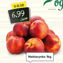 Spiżarnia Smakosza Nektarynka oferta