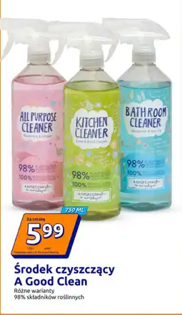 Action Środek czyszczący A Good Clean oferta