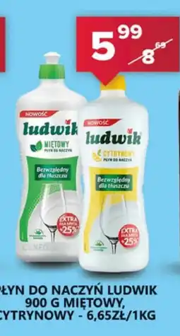 Spiżarnia Smakosza Płyn do naczyń Ludwik oferta