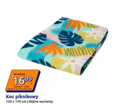 Action Koc piknikowy oferta