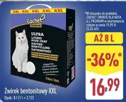ALDI Żwirek bentonitowy XXL Cachet Premium oferta