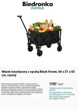 Biedronka Wózek turystyczny z rączką oferta