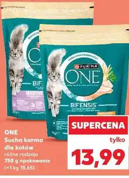 Kaufland Purina ONE Sucha karma dla kotów oferta