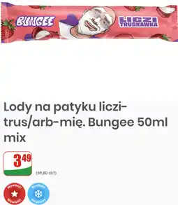 Dino Lody na patyku liczi-trus/arb-mię. Bungee mix oferta