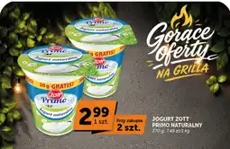 Groszek Jogurt Zott Primo Naturalny oferta