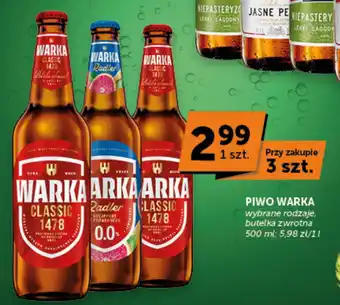 Groszek Piwo Warka oferta