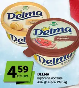 Groszek DELMA wybrane rodzaje oferta
