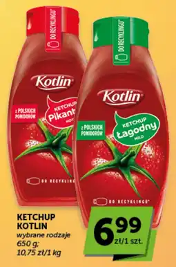 Groszek Ketchup Kotlin wybrane rodzaje oferta