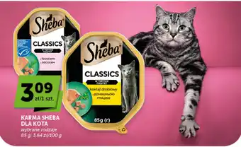 Groszek Karma Sheba dla kota oferta