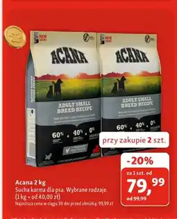 Maxi Zoo Sucha karma dla psa Acana oferta