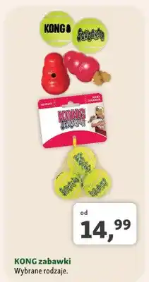 Maxi Zoo Zabawka dla psa KONG oferta
